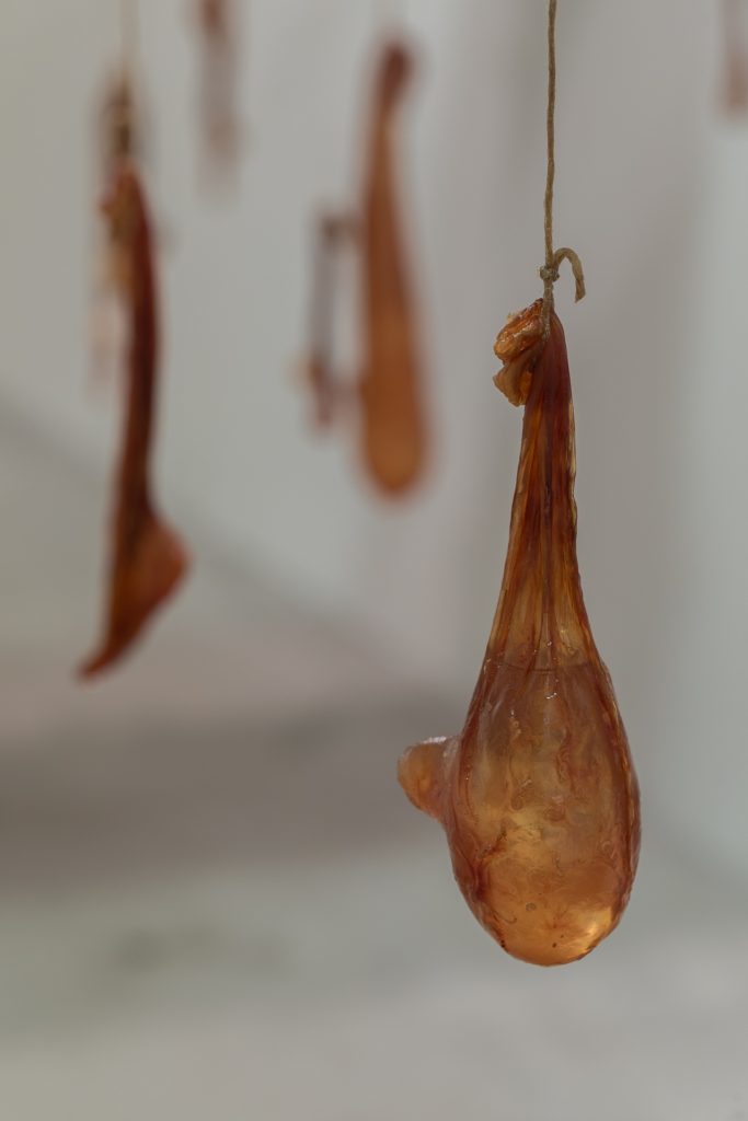 Torskemager
