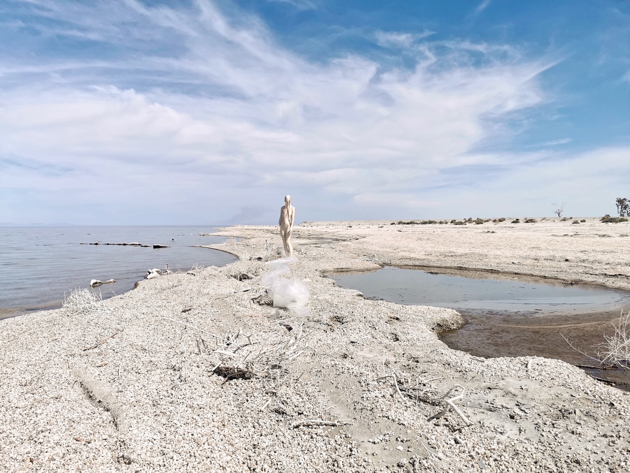 Arctic Creatures: Repparfjord (2019) Desert Creatures: The Salton Sea (2019)