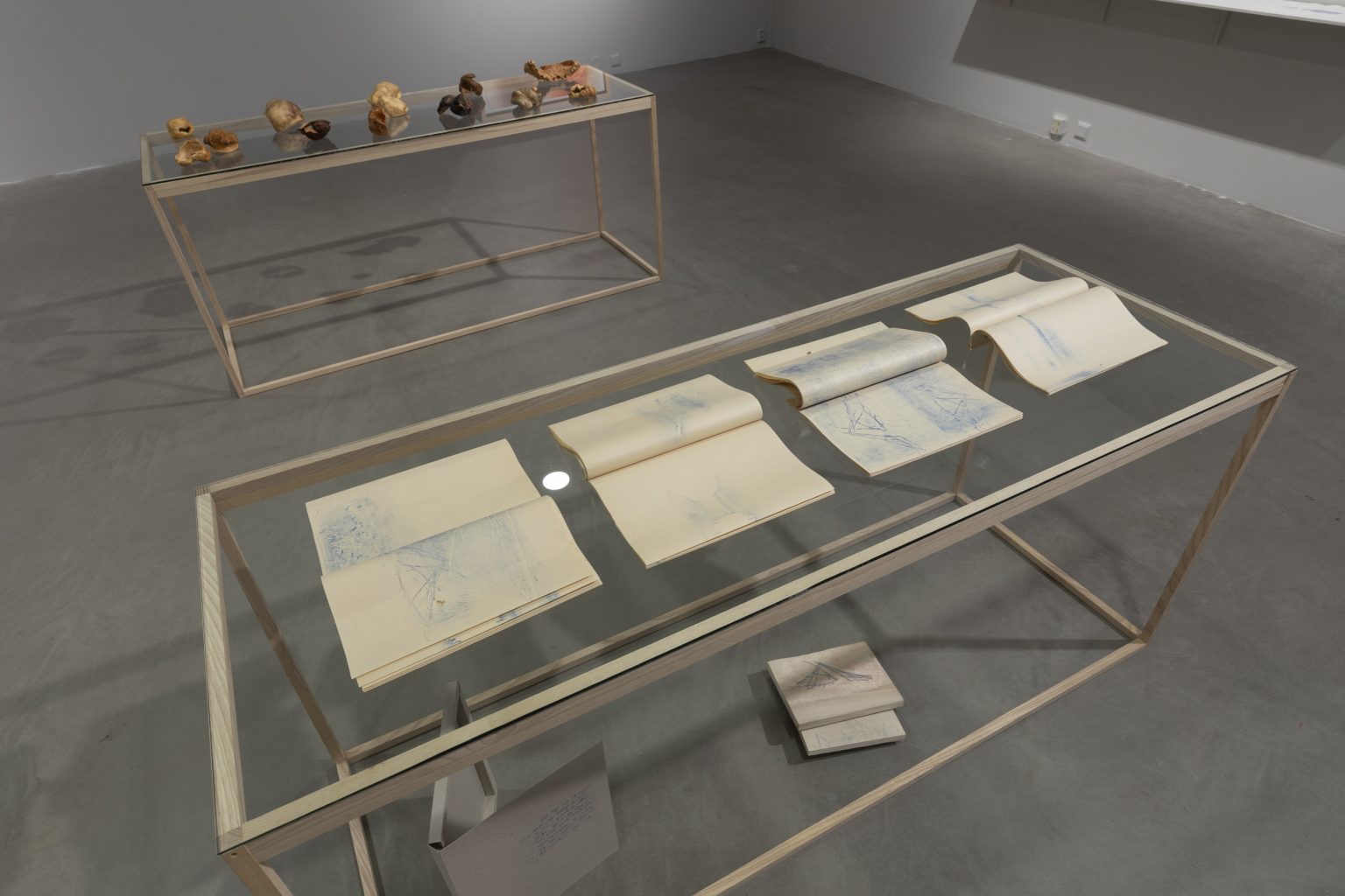 Elisabet Alsos-Strand: Jeg bega meg til skogene, artist book/wood prints. Even Bie-Larsen: Wooden objects (bak)